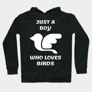 Just A Boy Who Loves Birds Hoodie